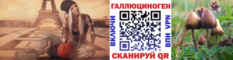 где найти наркотики  Суровикино  Галлюциногенные грибы Cubensis 