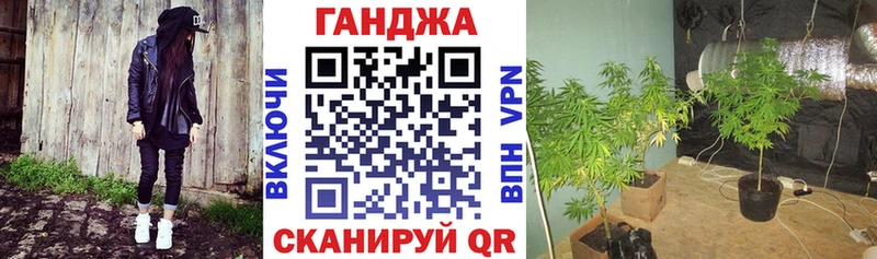 гидра зеркало  Суровикино  Каннабис план  наркота 